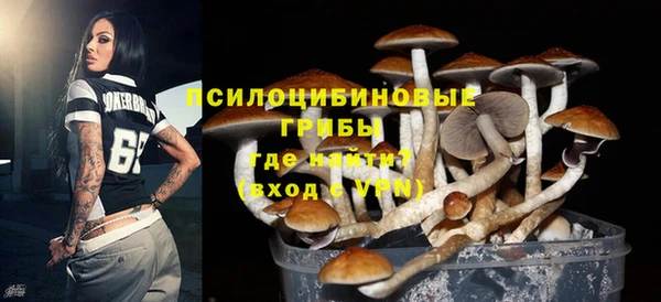 скорость Абаза