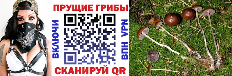 Галлюциногенные грибы мухоморы  Урюпинск 